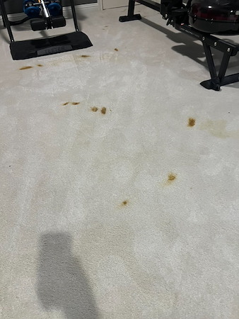 Can Professional Carpet Cleaning Remove Old Stains?