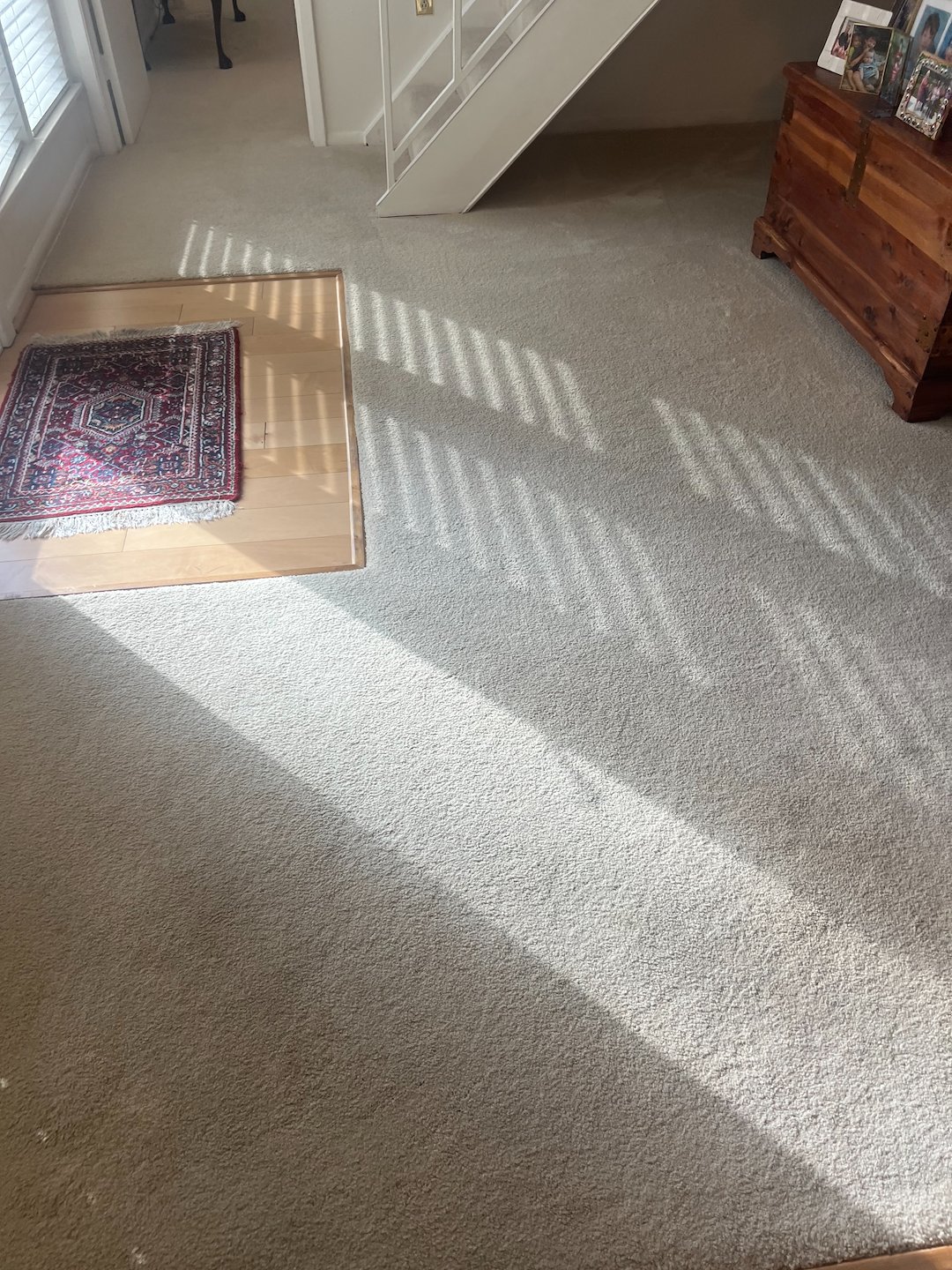 carpet cleaning, shampooing, steam cleaning,Katy texas 