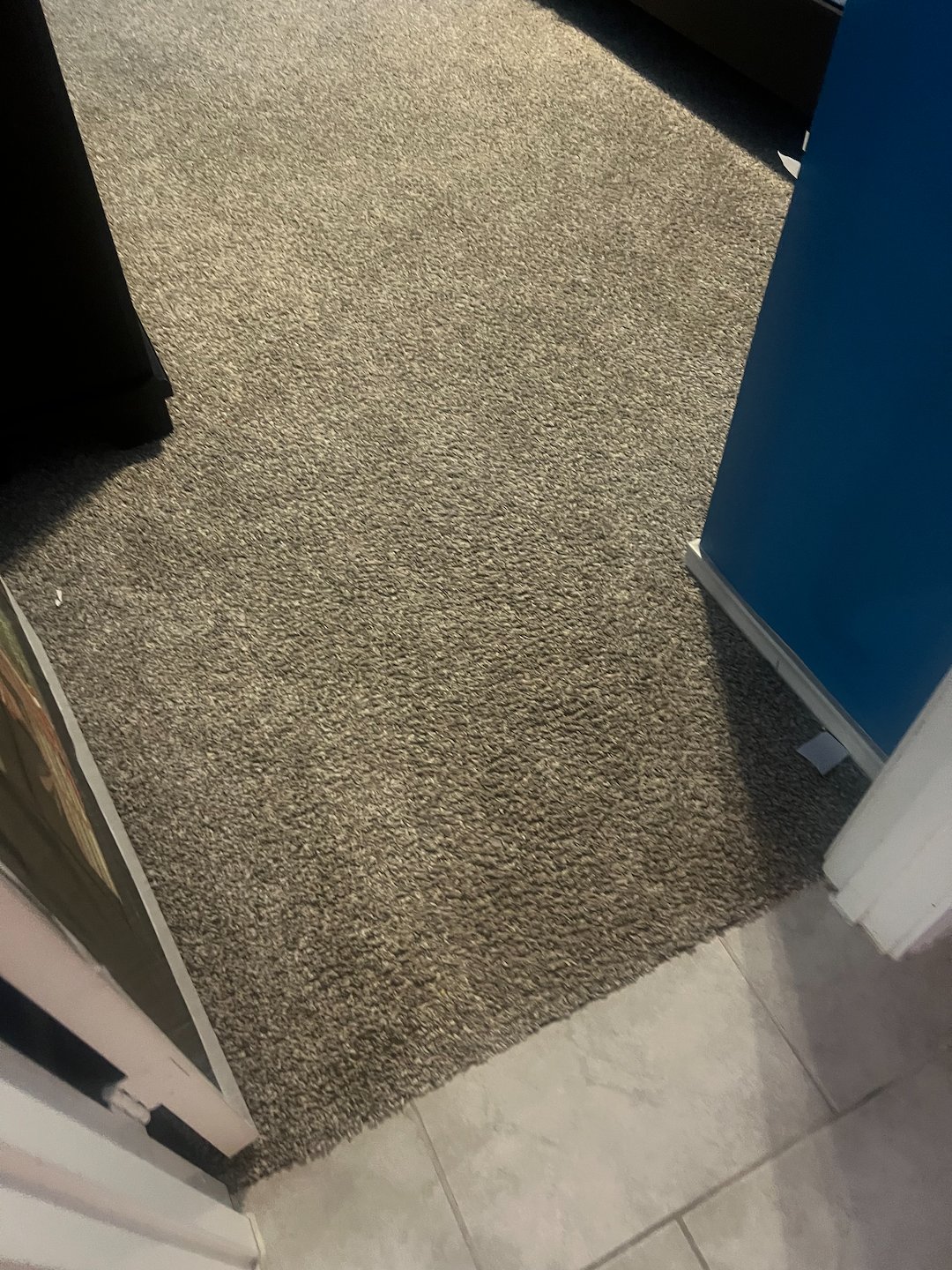 Carpet cleaning, steam cleaning ,shampooing, Baytown Texas 