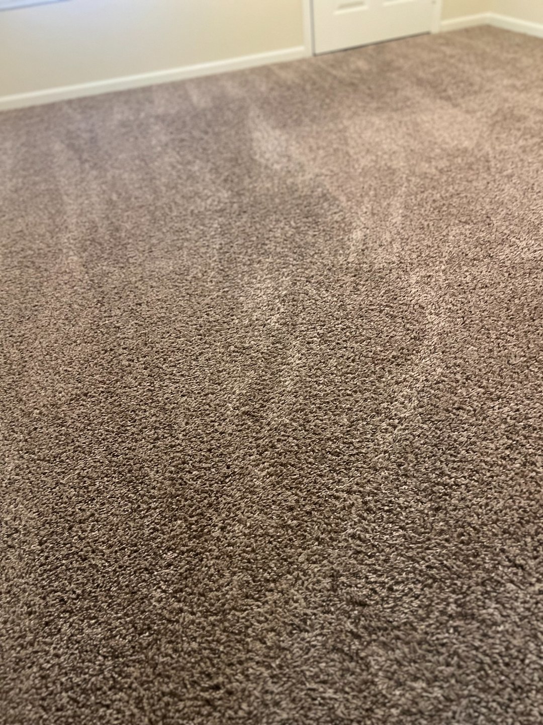 Carpet cleaning, steam cleaning, Deep cleaning, Beaumont Texas  (1)