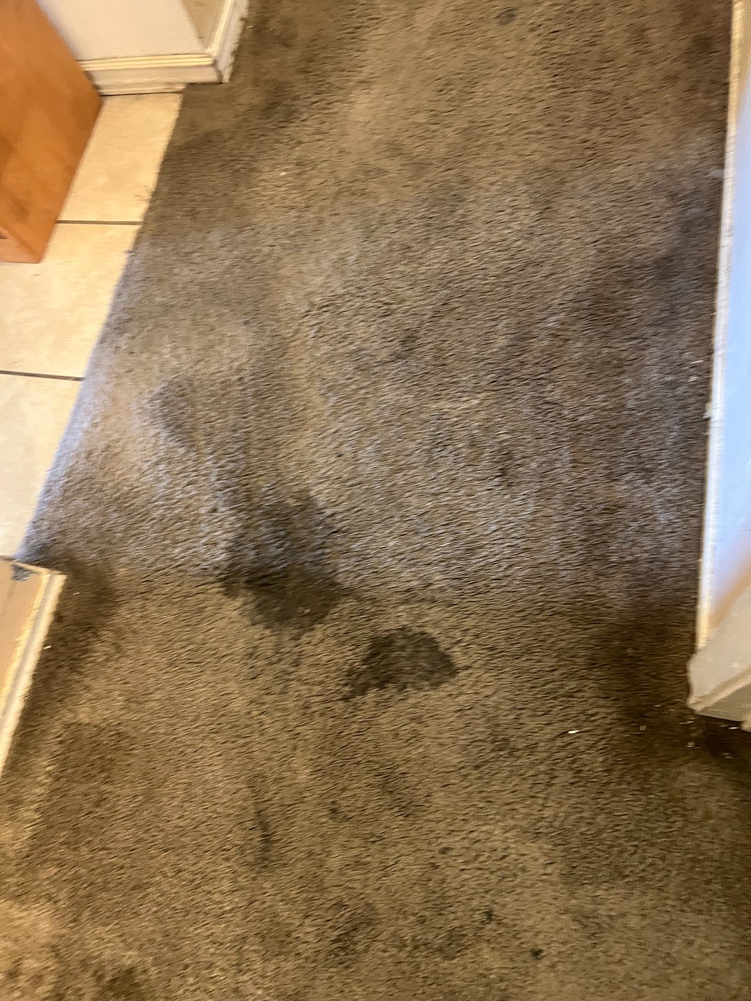 carpet cleaning, steam cleaning, Deep cleaning, Baytown Texas  (3)