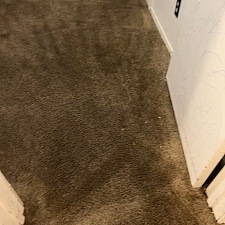 carpet-cleaning-steam-cleaning-Deep-cleaning-Baytown-Texas-3 0