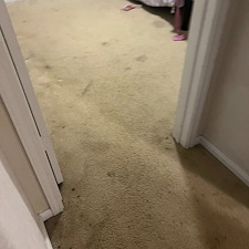 carpet-cleaning-steam-cleaningDeep-cleaning-Baytown-Texas 2