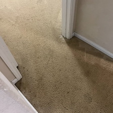 carpet-cleaning-steam-cleaningDeep-cleaning-Baytown-Texas 1