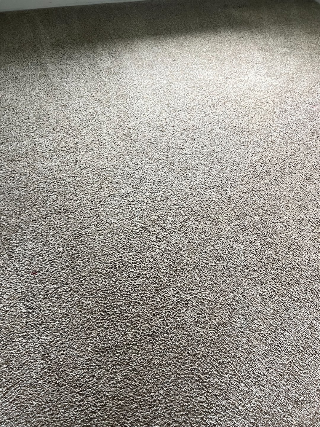 Carpet cleaning, steam cleaning, Deep cleaning, cypress Texas 