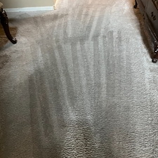 Carpet-cleaning-steam-cleaning-Deep-cleaning-cypress-Texas 0