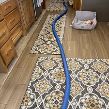 carpet-cleaning-steam-cleaning-shampooing-Galveston-Texas 0