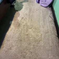 carpet-cleaning-steam-cleaning-Deep-cleaning-friendswood-Texas 0