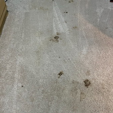 carpet-cleaning-steam-cleaning-Deep-cleaning-friendswood-Texas 1