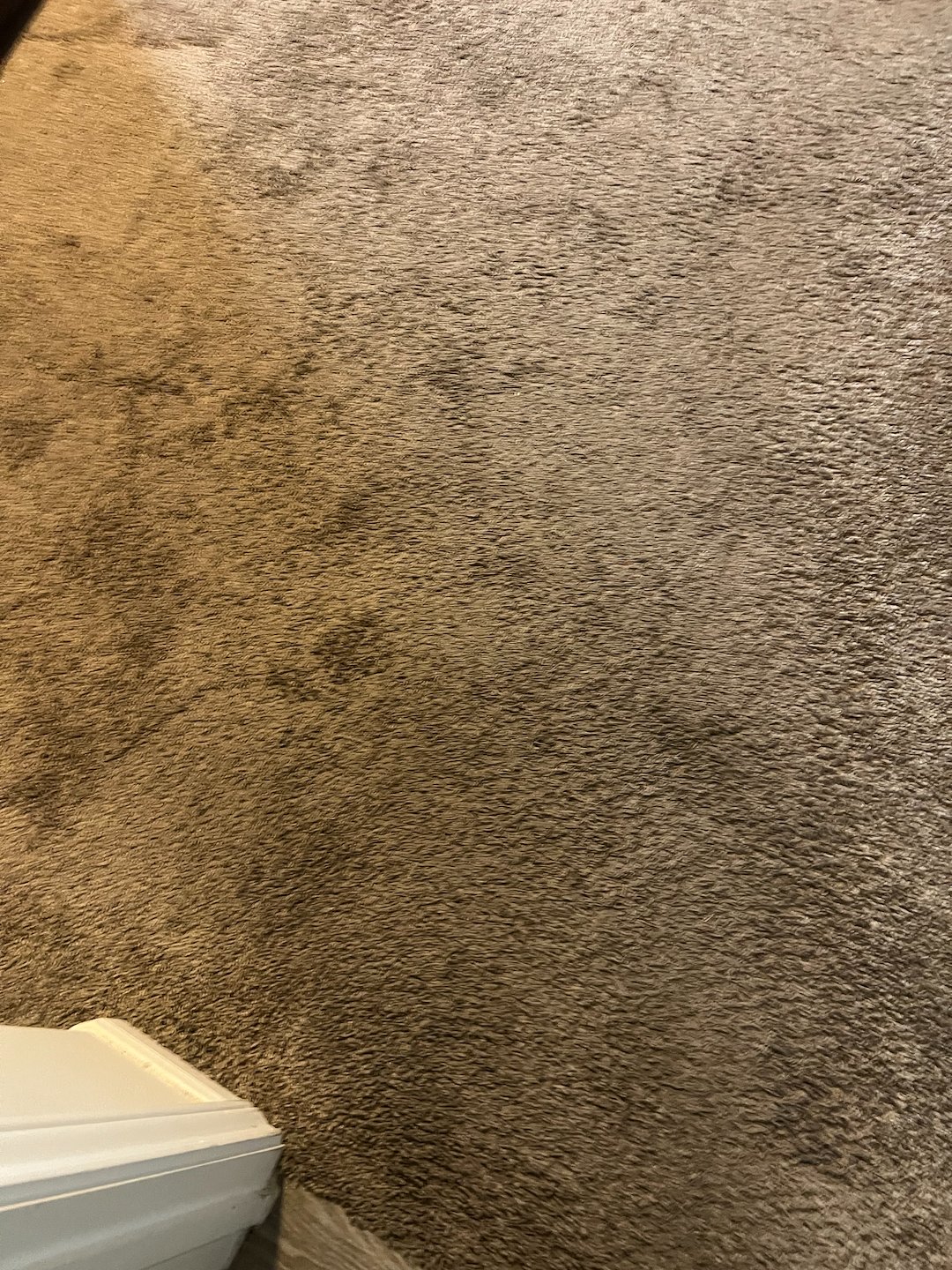 Carpet cleaning, steam cleaning, Deep cleaning, Beaumont Texas  (2)