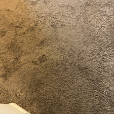 Carpet-cleaning-steam-cleaning-Deep-cleaning-Beaumont-Texas-2 1