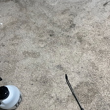 carpet-cleaning-steam-cleaning-Deep-cleaning-Baytown-Texas-4 0