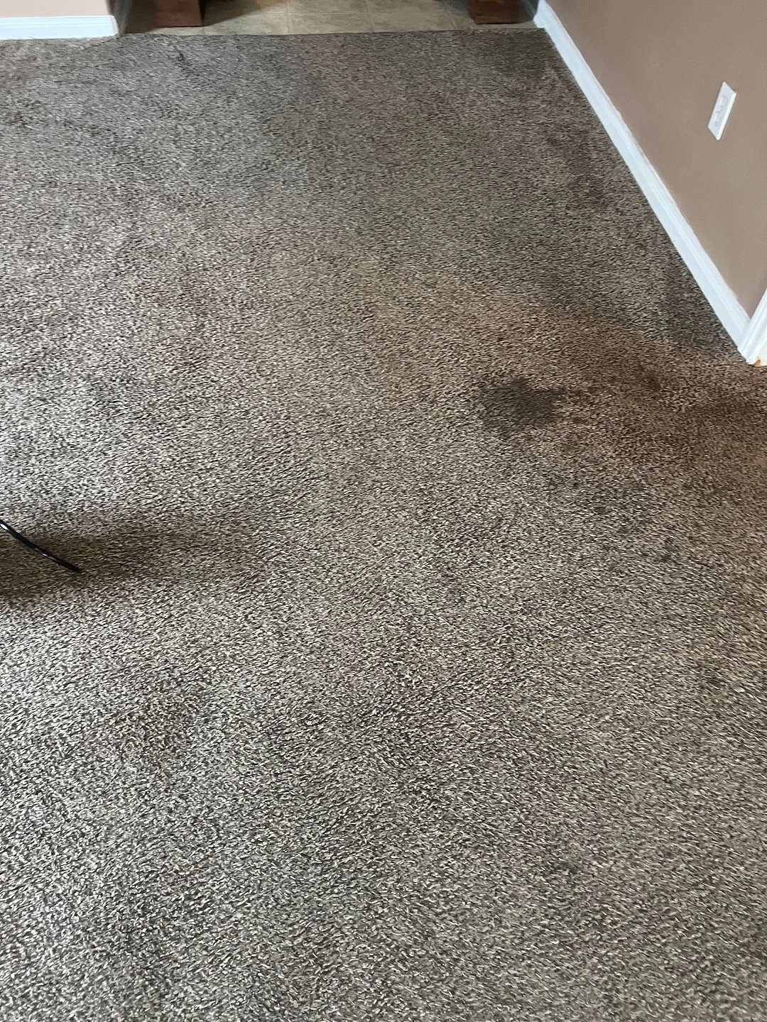 carpet cleaning, steam cleaning, Deep cleaning, friendswood Tx 