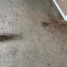 carpet-cleaning-steam-cleaning-Deep-cleaning-friendswood-Tx 0