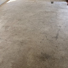 carpet-cleaning-steam-cleaning-Deep-cleaning-Crosby-Tx 0