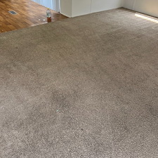 carpet-cleaning-steam-cleaning-Deep-cleaning-Crosby-Tx 1