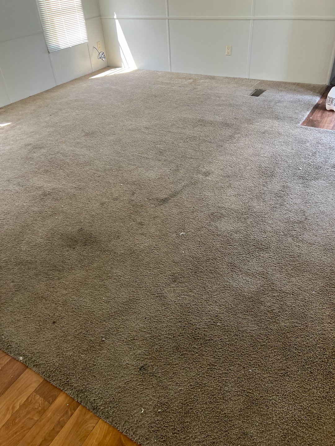Carpet cleaning, steam cleaning, Deep cleaning, Baytown Texas  (5)