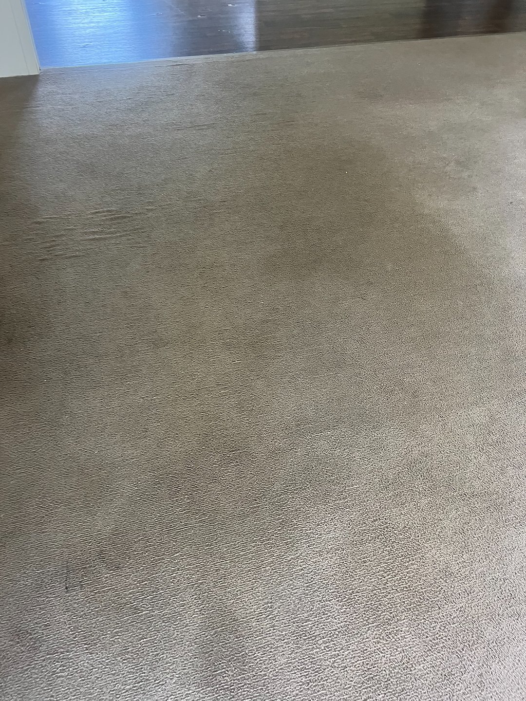 Carpet cleaning, steam cleaning, Deep cleaning, Beaumont Tx  (3)
