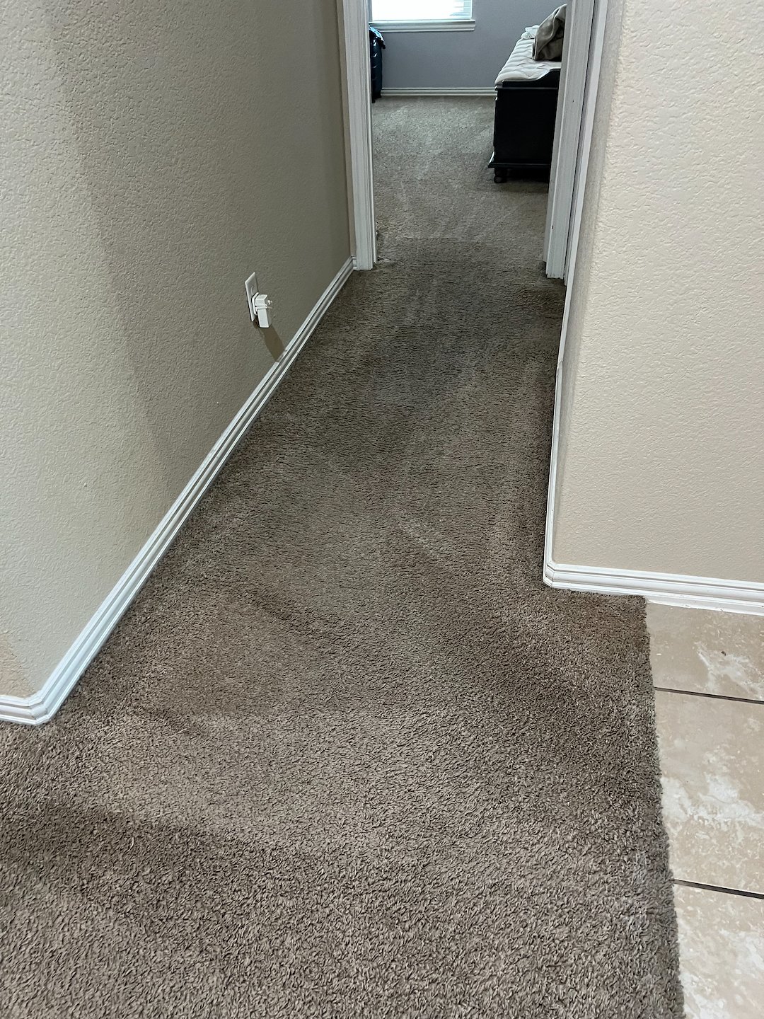 Carpet cleaning, steam cleaning, Deep cleaning, Baytown Tx  (1)