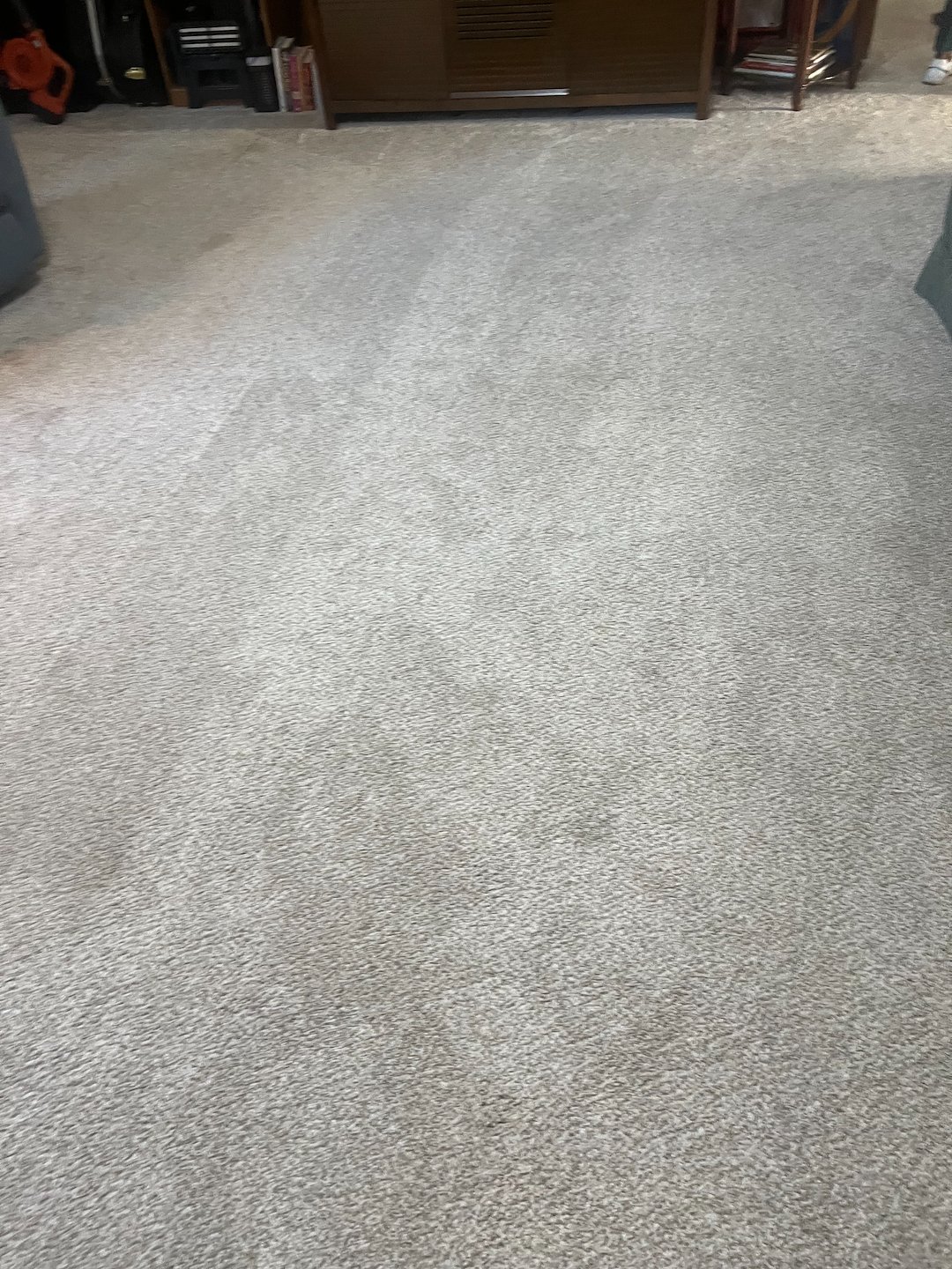 carpet cleaning, steam cleaning, Deep cleaning, Baytown Tx  (2)
