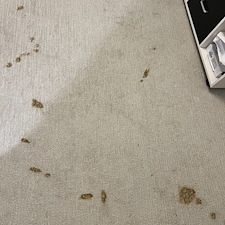 carpet-cleaning-steam-cleaningDeep-cleaningpearland-tx 1