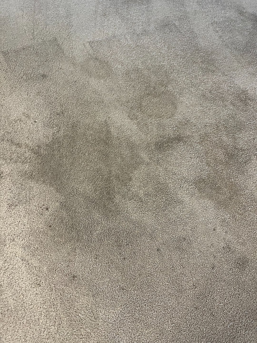 carpet cleaning,shampooing cleaning,steam cleaning,Pasadena tx  Thumbnail