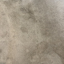 carpet-cleaningshampooing-cleaningsteam-cleaningPasadena-tx 1