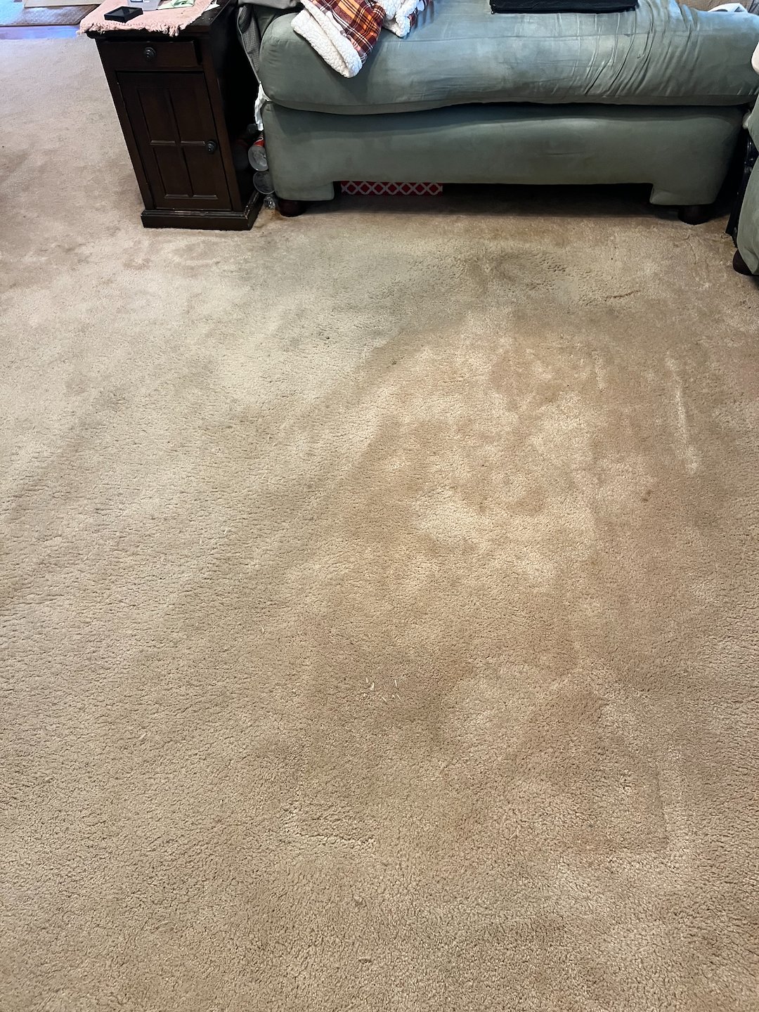 carpet cleanings,steam cleaning,Deep cleaning,Pasadena tx  Thumbnail