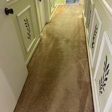 carpet-cleaningssteam-cleaningDeep-cleaningPasadena-tx 0