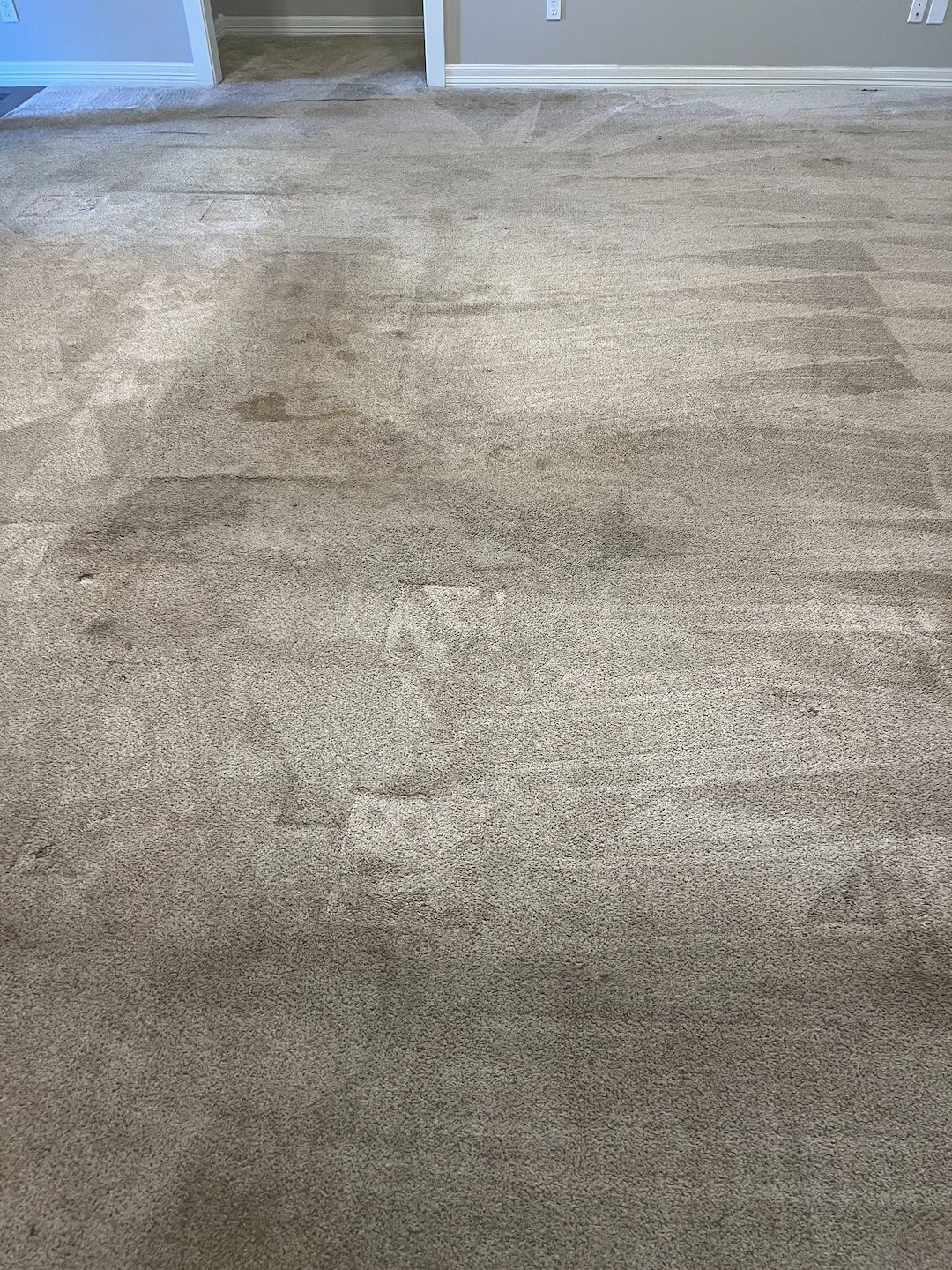 Carpet cleaning,steam cleaning,deep cleaning,friendswood tx  Thumbnail