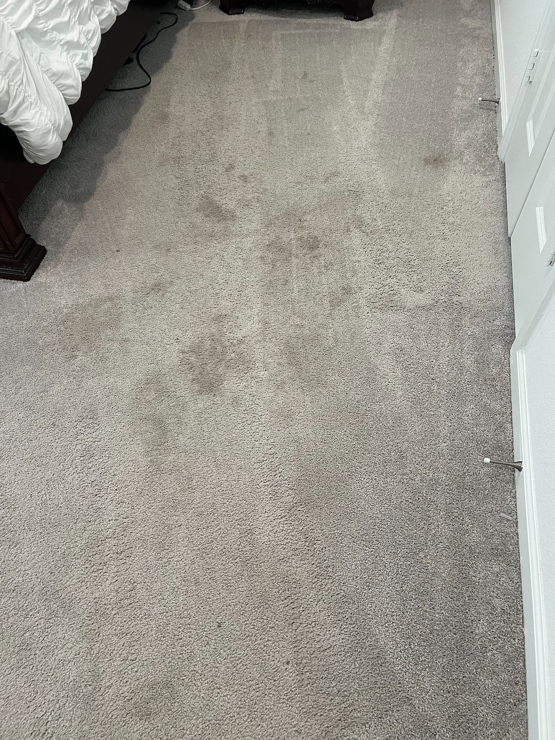 Carpet cleaning,steam cleaning,deep cleaning,Baytown tx  (1) Thumbnail