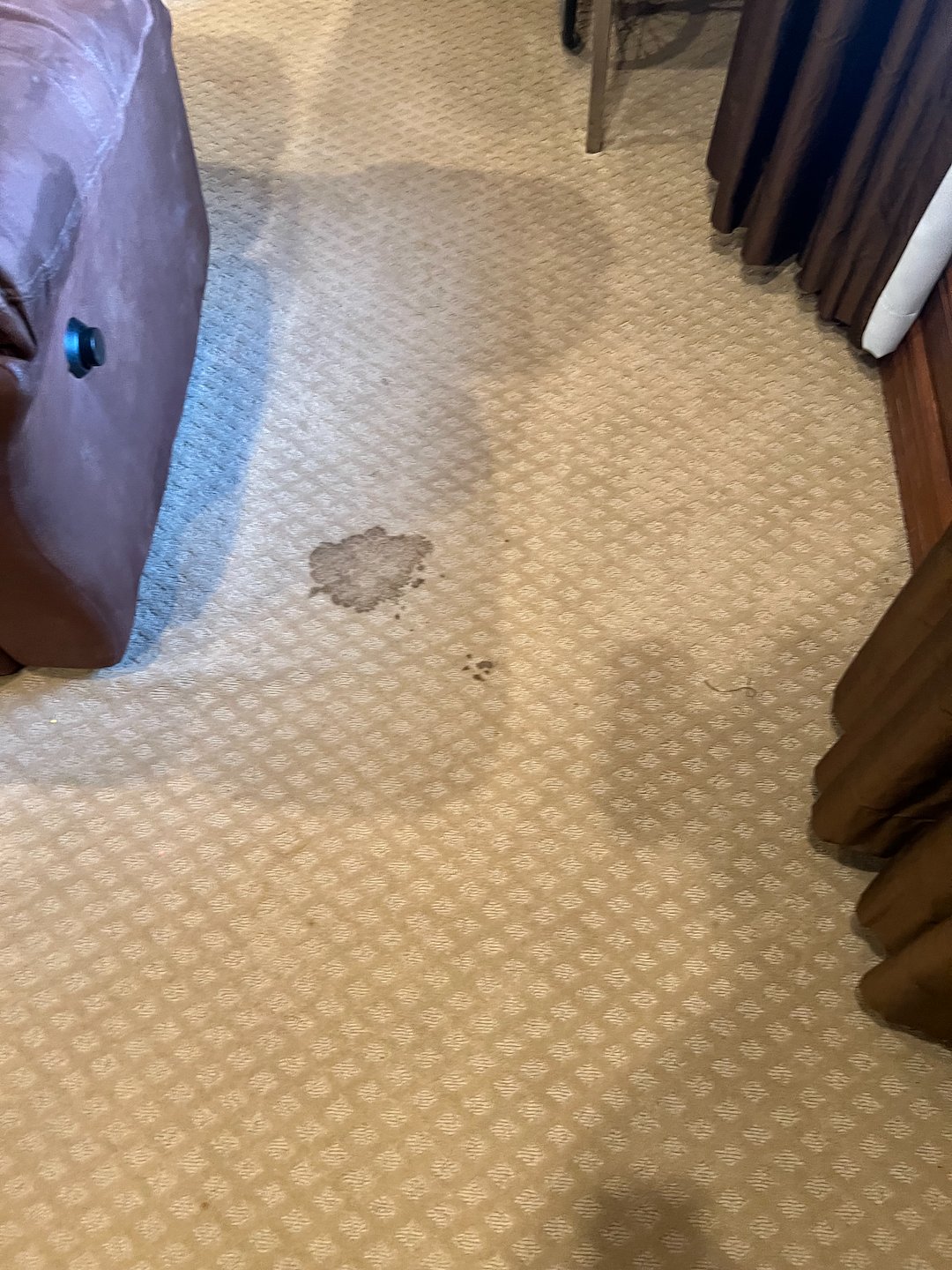 Carpet cleaning,steam cleaning,deep cleaning, Crosby tx  Thumbnail