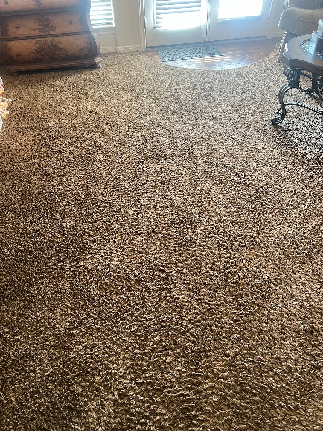 Carpet cleaning,steam cleaning,Deep cleaning, cypress tx  Thumbnail