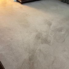 carpet-cleaningsteam-cleaningDeep-cleaningBaytown-tx-2 1