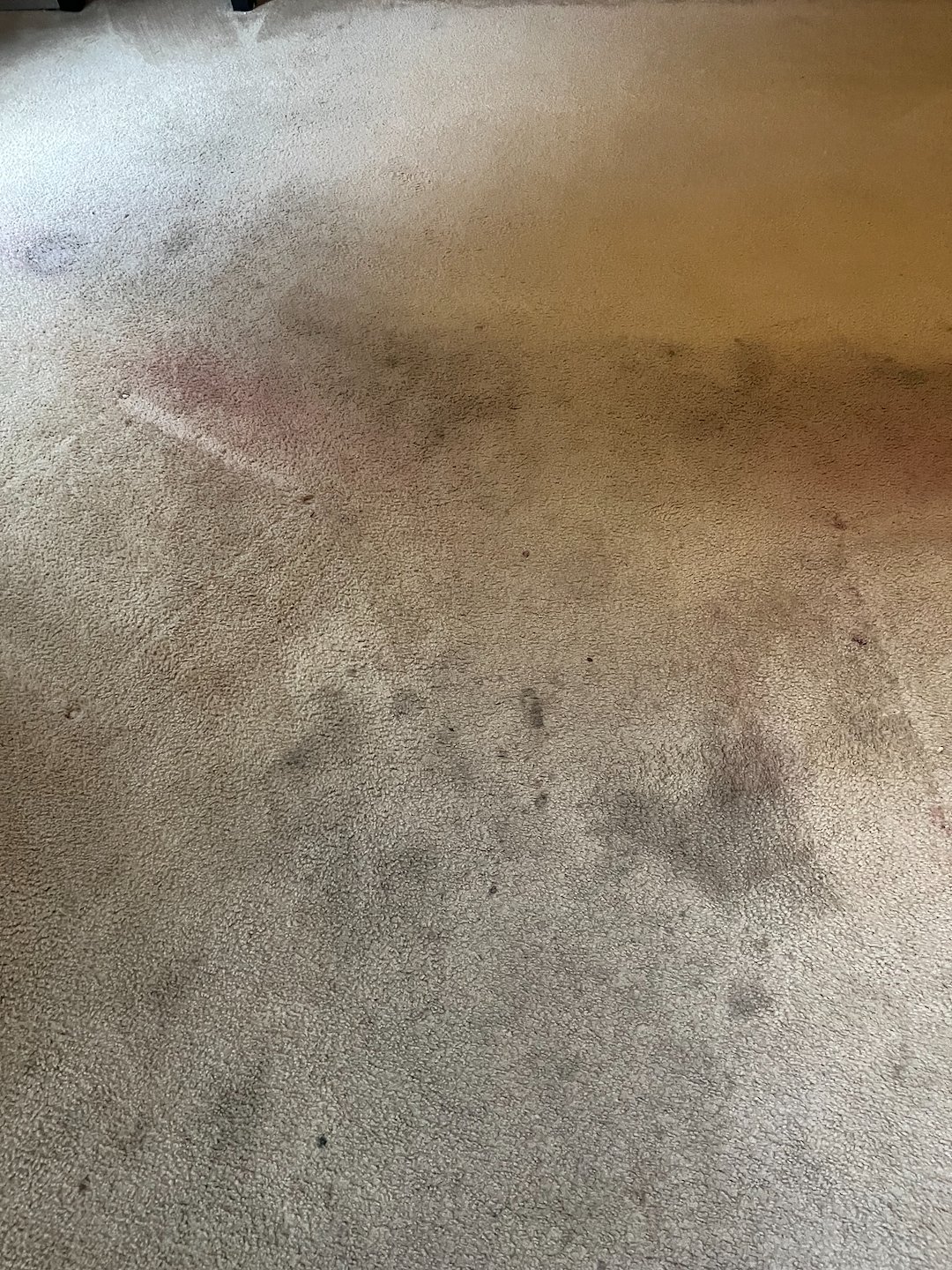 carpet cleaning,steam cleaning,Deep cleaning,Crosby tx  Thumbnail