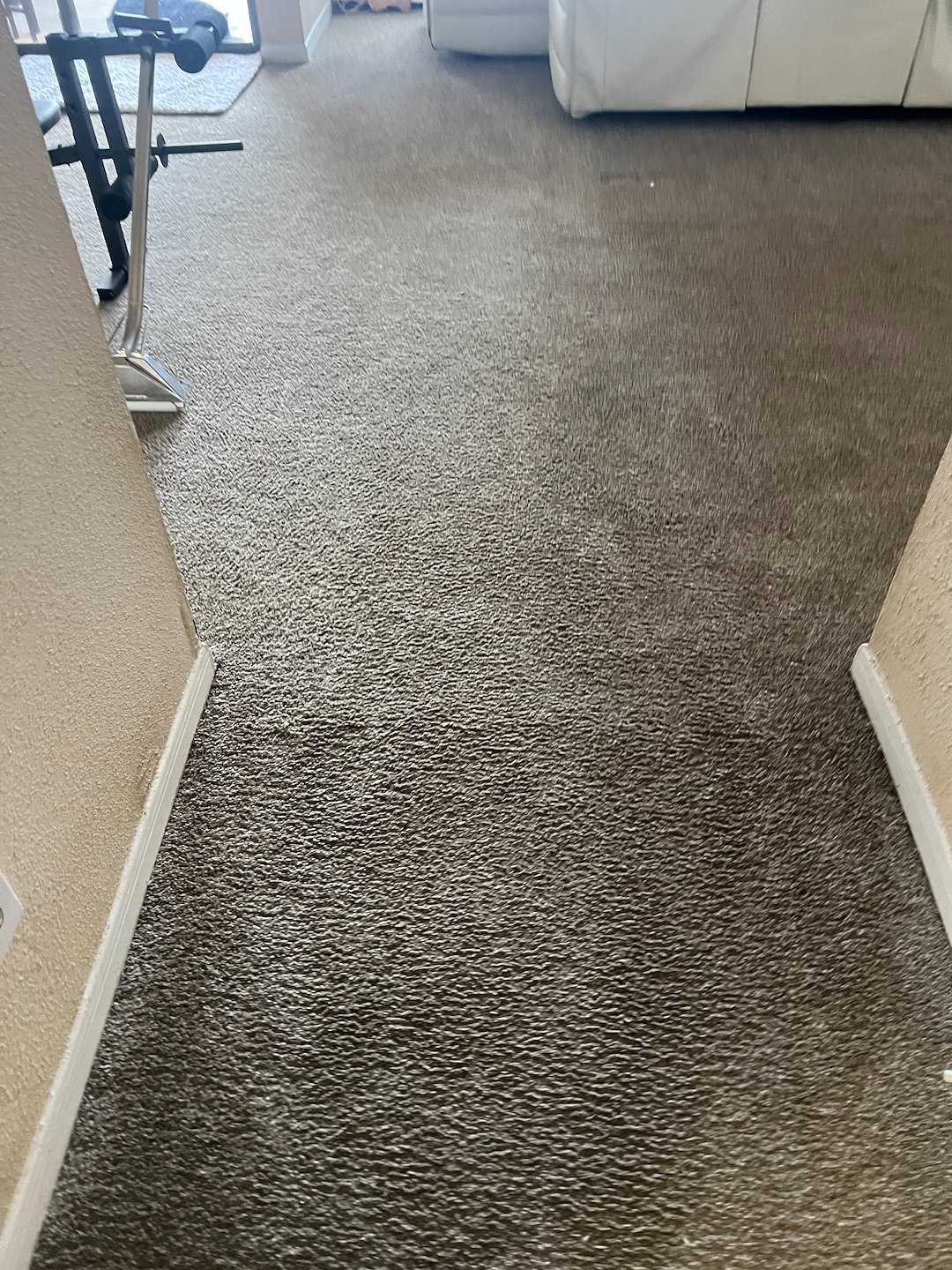 carpet cleaning,steam cleaning,Deep cleaning, katy tx  Thumbnail