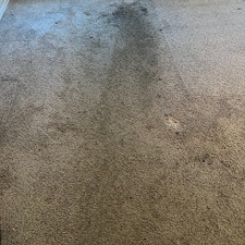 carpet-cleaningsteam-cleaningDeep-cleaningfriendswood-tx-1 0