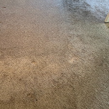 carpet-cleaningsteam-cleaningDeep-cleaningfriendswood-tx-1 1