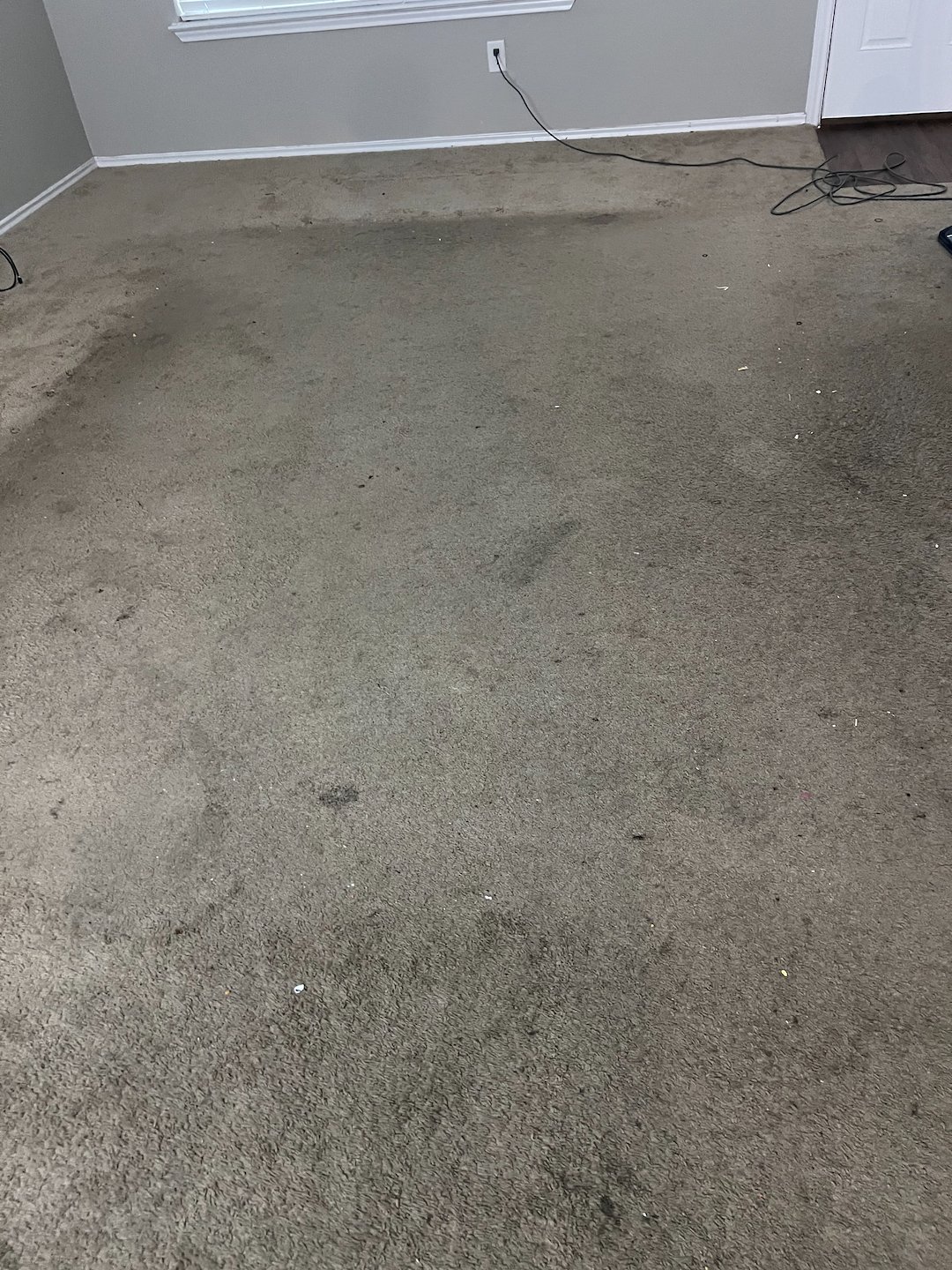 carpet cleaning,steam cleaning,Deep cleaning,Baytown tx (1) Thumbnail