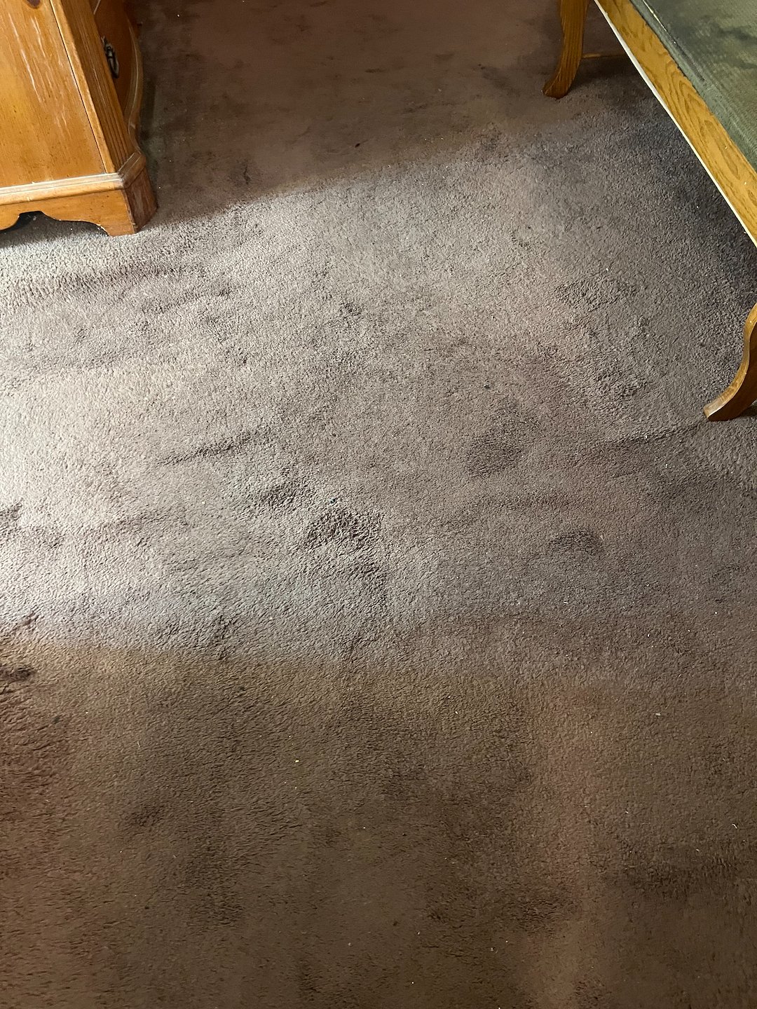 carpet cleaning,steam cleaning,Deep cleaning,Baytown tx  (4) Thumbnail