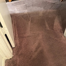 carpet-cleaningsteam-cleaningDeep-cleaningBaytown-tx-4 1