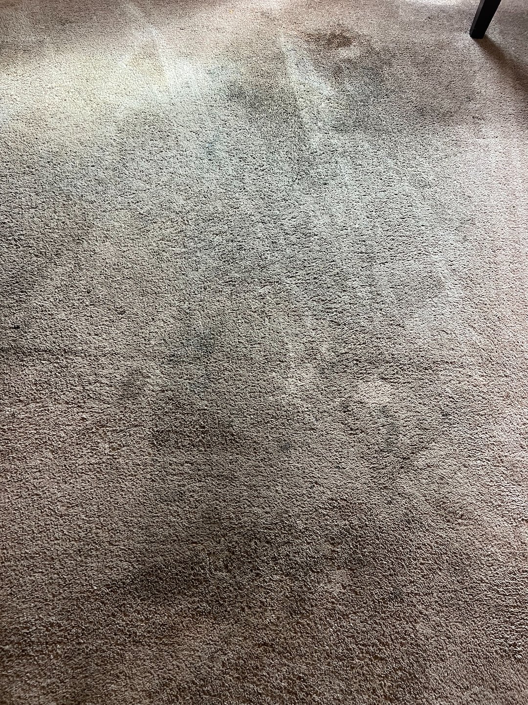 carpet cleaning,steam cleaning,shampooing,Baytown tx  (1) Thumbnail