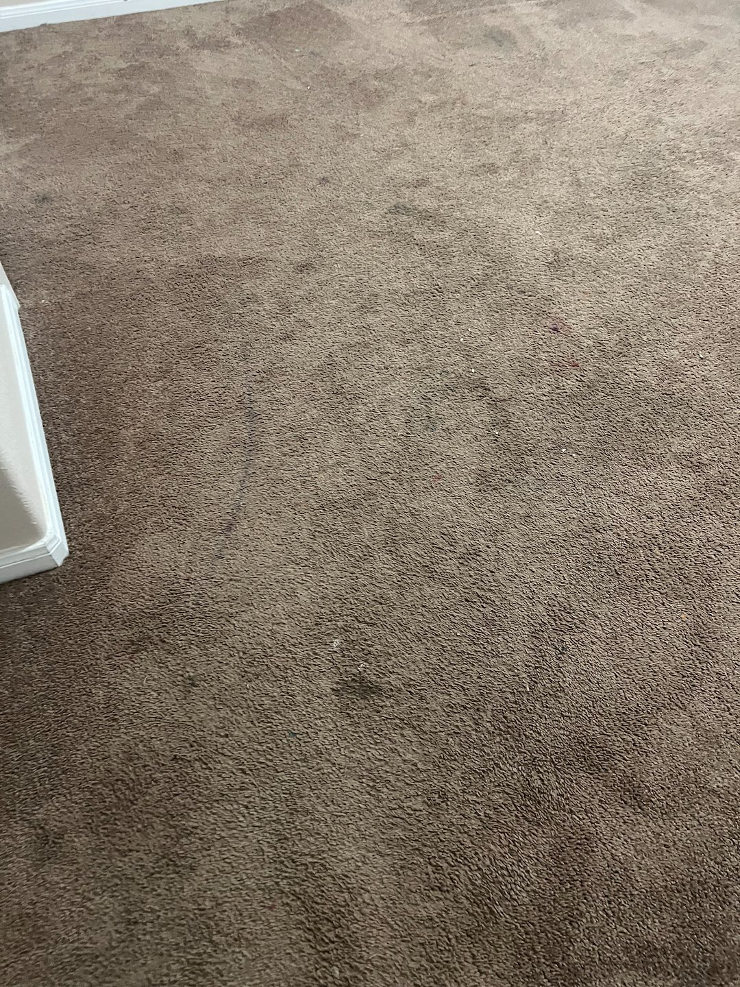 carpet cleaning,steam cleaning,Deep cleaning,Baytown Texas  Thumbnail