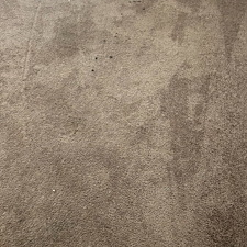 carpet-cleaningsteam-cleaningDeep-cleaningBaytown-Texas 1