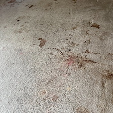 carpet-cleaningsteam-cleaningDeep-cleaningcypress-tx 1