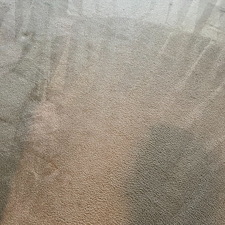 carpet-cleaningsteam-cleaningDeep-cleaningcypress-tx 0