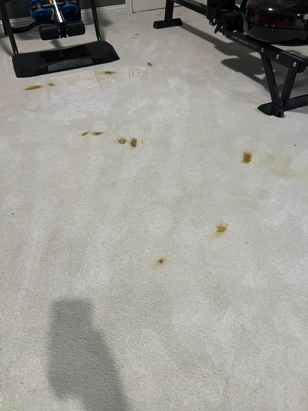 carpet cleaning,steam cleaning,Deep cleaning,katy tx  Thumbnail