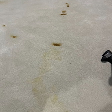 carpet-cleaningsteam-cleaningDeep-cleaningkaty-tx 1