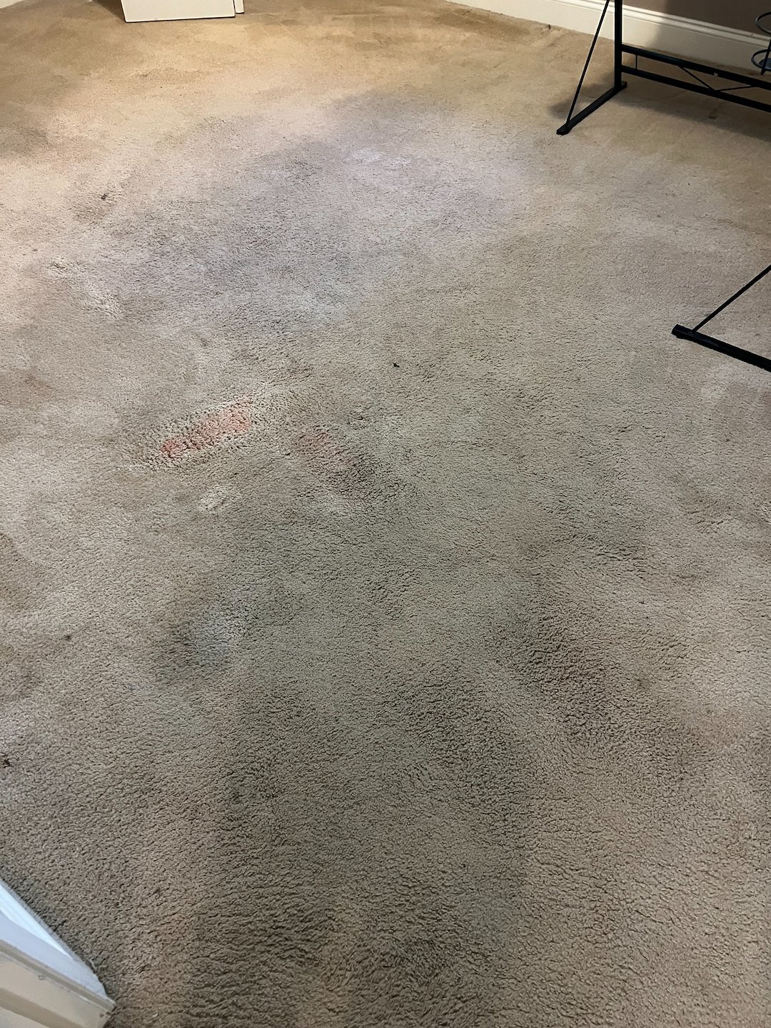 carpet cleaning,steam cleaning,Deep cleaning,Baytown tx  (5) Thumbnail