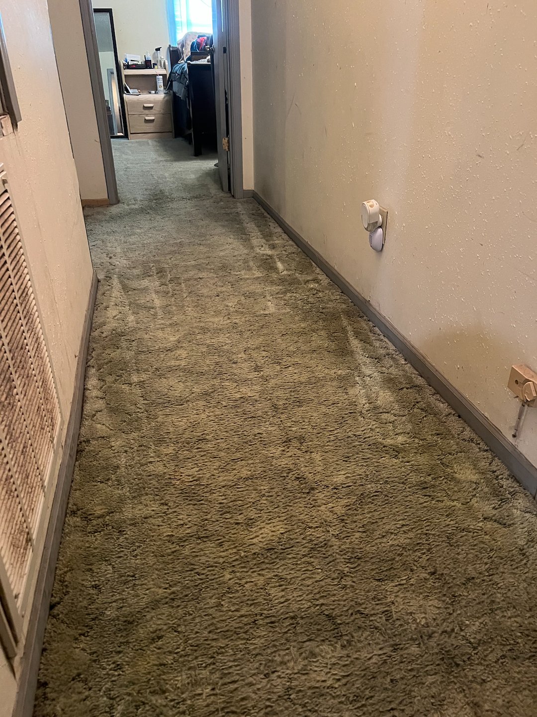 carpet cleaning,steam cleaning,Deep cleaning,Missouri city tx  (1) Thumbnail